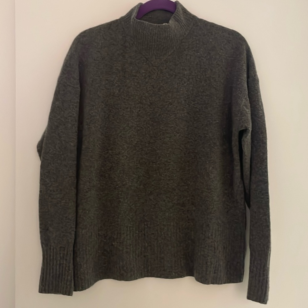 Everlane wool turtleneck sweater